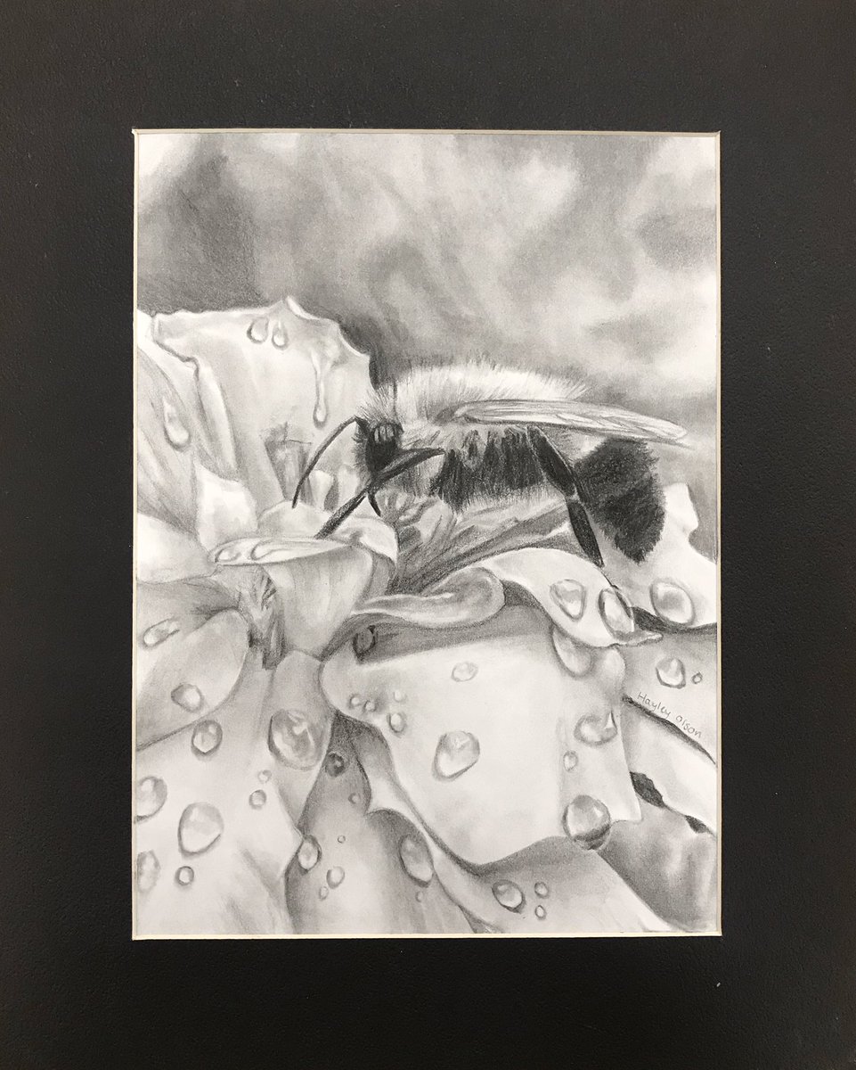 Victoria_Hayley's tweet photo. #DACscholarship @ISUdesign 
1. Bee Still - pencil
2. All Aboard - pencil
3. After the storm - chalk pastel
4. Summer Day - pencil https://t.co/IYGgfUnBtr