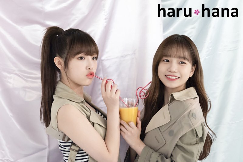 Hatodoke_s's tweet photo. (Pre-order) Haru*Hana Vol.61 
มี IZ*ONE 25 หน้า , VERIVERY, CHERRY BULLET, OH MY GIRL, โซจีซบ

ราคา 449 บาท

ส่งลงทะเบียน 50 EMS 70 

🚨สินค้ามีจำนวนจำกัด🚨

ต้องการสั่งนิตยสารญี่ปุ่นเก่าเล่มอื่นๆสอบถามได้ค่ะ
#ตลาดนัดIZONE #ตลาดนัดอจว #IZONEMarket #ตลาดนัดVERIVERY https://t.co/woq3wwhtBh