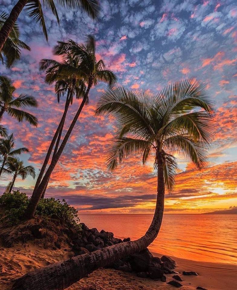 Tere (@trcas) on Twitter photo 