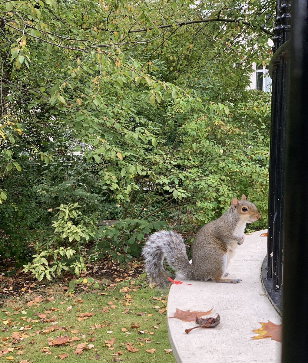كن شجاعاً في الرأي، صلباً في المواقف، عنيداً في الحق. إذا اتخذت قراراً صمم عليه، وإذا ابتدأت مشروعاً صر على تنفيذه واتمامه مهما علت الحواجز وأيا كانت العقبات، فالأفكار الخلاّقة لا تعترف بالصعاب.

#مستمرون