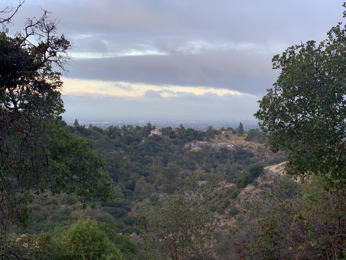 Photo from Alum Rock Park around 700 feet up. Between two tree, San Jose is visible below.