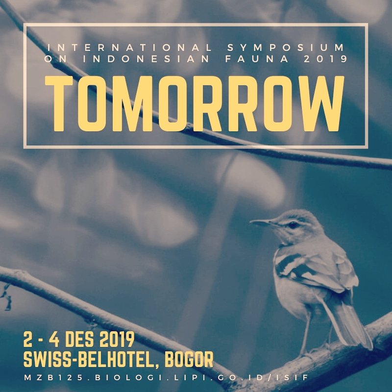 The hippest fauna symposium of the year is TOMORROW!!!
.
2-4 December 2019
Swiss-Bellhotel Bogor
.
.
Gloria Animalesto
Ph: +62813 2926 4532
Email: isif@mail.lipi.go.id
mzb125.biologi.lipi.go.id/isif
.
.
#LIPI #MZB #JAWARA #125thMZB