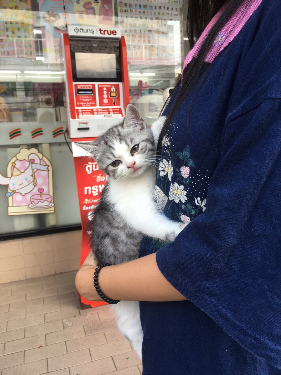 _DNVP2_'s tweet photo. มาม่อง https://t.co/3IP1wnpZyK
