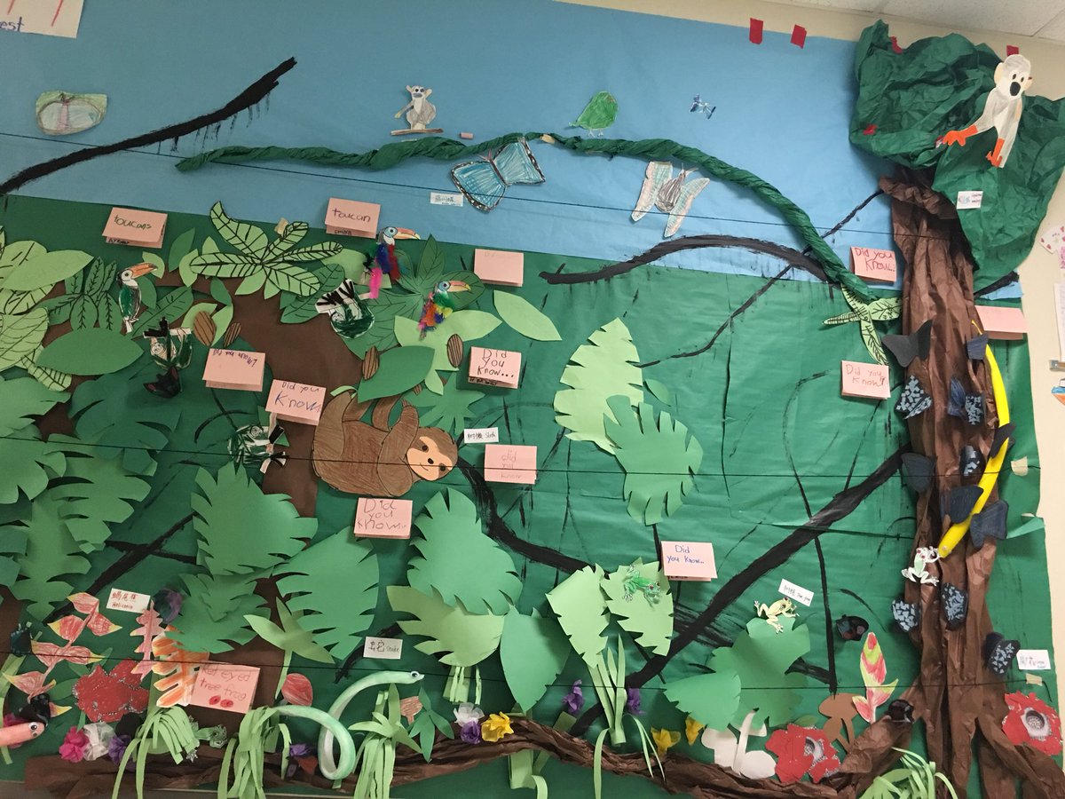 This is my rainforest gallery!