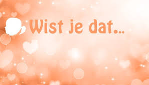 rpmprins's tweet photo. https://t.co/1k88d5iPGp #blog #bloggers #blogspot #blogpost #blogpraat #bloglist #bloggerstribe #blogginggals #zondag #Koffie #koffietijd #koffiepauzen #tweet #retweet#twitter #treinleven #feitje #weetje #blogretweet #dagelijksblog #BloggerLoveShare #tips #handigtips #wistjijdat https://t.co/Nzn0WycfjR