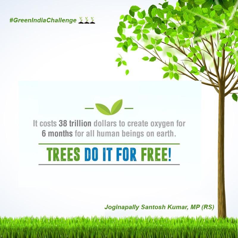 Numbers says it all👇...
Now decision is in your hands folks!

Here’s my proposal.....
Plant-3🌱🌱🌱& Nominate-3 👫🕴

If you want to breath, #SaveTheTrees.

Embrace #GreenIndiaChallenge 
Coz #HaraHaiTohBharaHai 🌳🌳🌳

#ChangeYourself
#ChangeStartsWithUs
#ChangeWhatYouCan