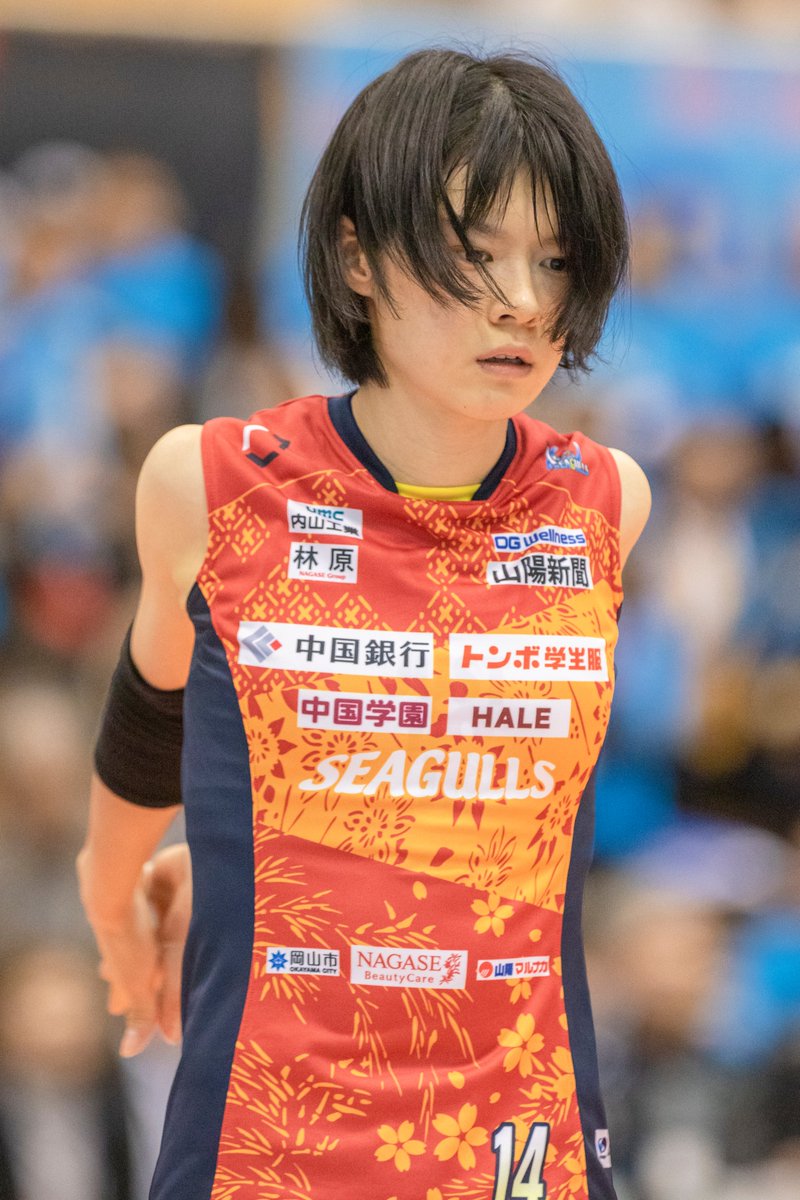 ট ইট র 俺宮 宮下選手今日も頑張れー 宮下遥 岡山シーガルズ ট ইট র 俺宮 宮下選手今日も頑張れー 宮下遥 岡山シーガルズ