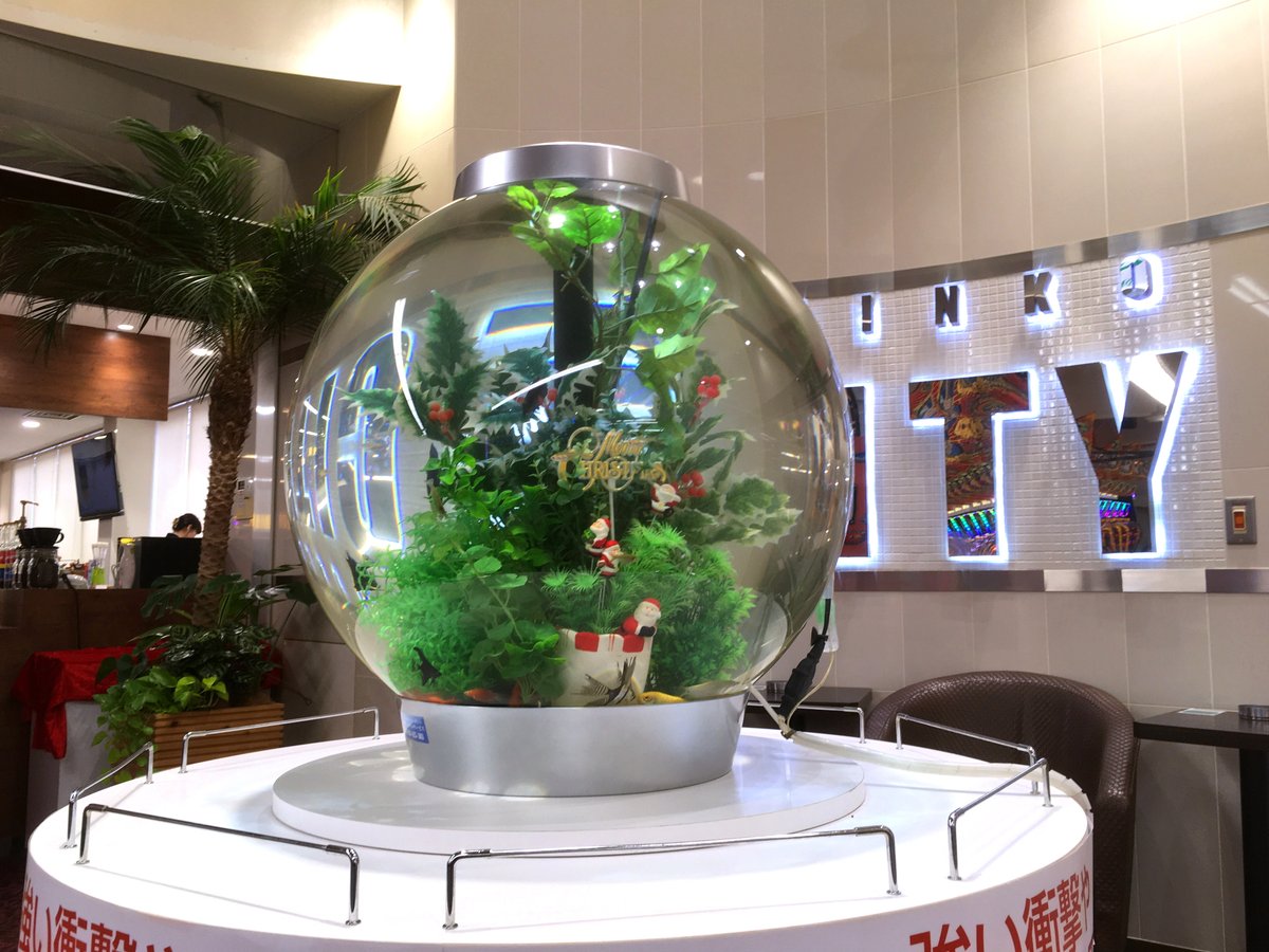 水槽レンタルサービス 球体水槽 レンタルでの取り扱いは当社だけ 水中の飾りもクリスマスバージョンへ 他にはないアクアリウム 水槽を追求しています 球体水槽 丸い水槽 インパクトのある水槽 水槽レンタル 熱帯魚レンタル 水槽レンタルサービス 球体水槽 レンタルでの取り扱いは当社だけ 水中の飾りもクリスマスバージョンへ 他にはないアクアリウム 水槽を追求しています 球体水槽 丸い水槽 インパクトのある水槽 水槽レンタル 熱帯魚レンタル
