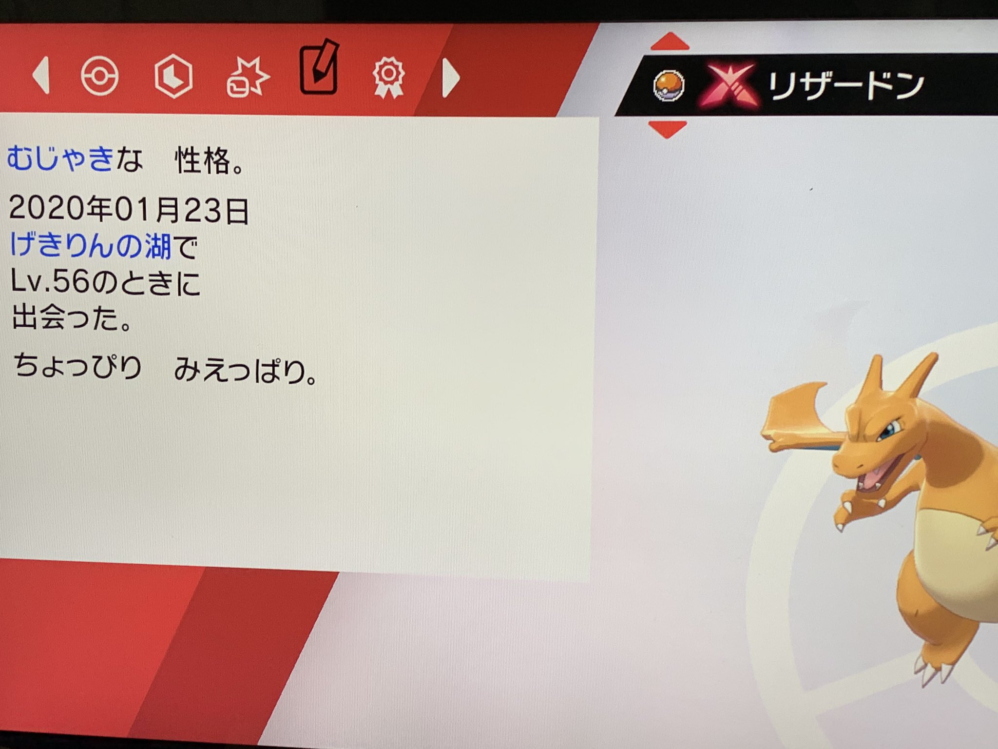 W 出 キョダイマックス 夢 むじゃき B抜け5v リザードン レイド 参加権 求 ガンテツボール 捕まる捕まらないに関わらず6回参加可 ウルトラorマスターボール 10回参加可能 色違い 10回 捕まるまで参加可能 ポケモン交換 キョ