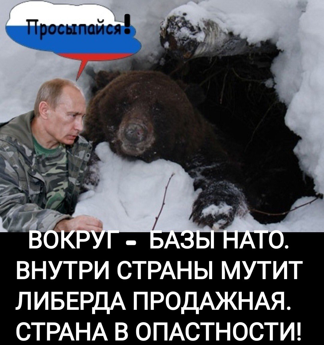 Русский медведь проснулся