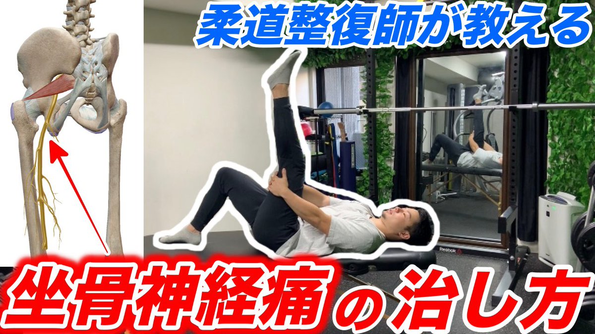 タロー トレーニング強化書 坐骨神経痛 お尻 太ももの痛みの原因と見ながら出来るストレッチと運動 T Co Sgcmh3sxcw 坐骨神経痛に関わりの深い 梨状筋 についてです 坐骨神経痛の原因 0 00 ストレッチ方法 7 42 運動方法 11 25 お尻 タロー トレーニング強化書 坐骨神経痛 お尻 太ももの痛みの原因と見ながら出来るストレッチと運動 T Co Sgcmh3sxcw 坐骨神経痛に関わりの深い 梨状筋 についてです 坐骨神経痛の原因 0 00 ストレッチ方法 7 42 運動方法 11 25 お尻