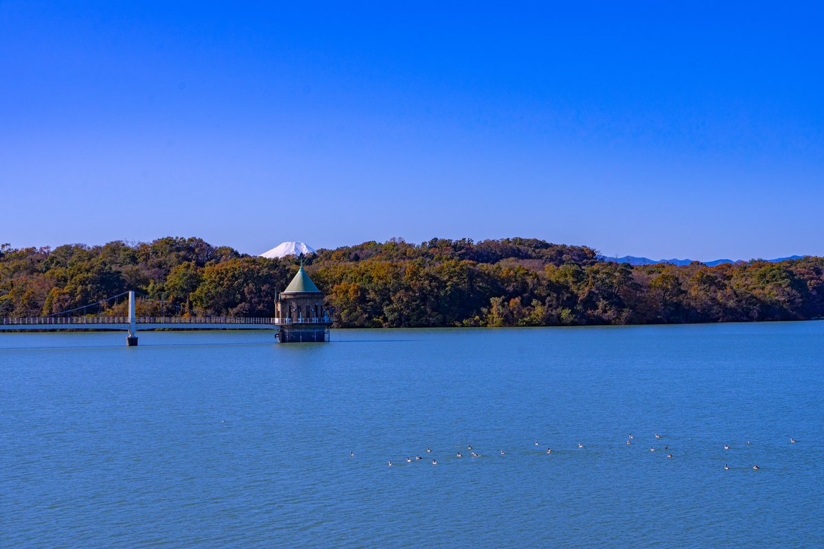 県立狭山自然公園