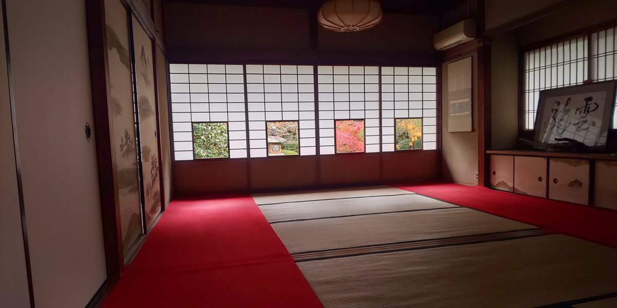 chikako36's tweet photo. 大阪京都横浜すごい移動した連休だったけど楽しかった🍁 https://t.co/Aq61xUWkzB