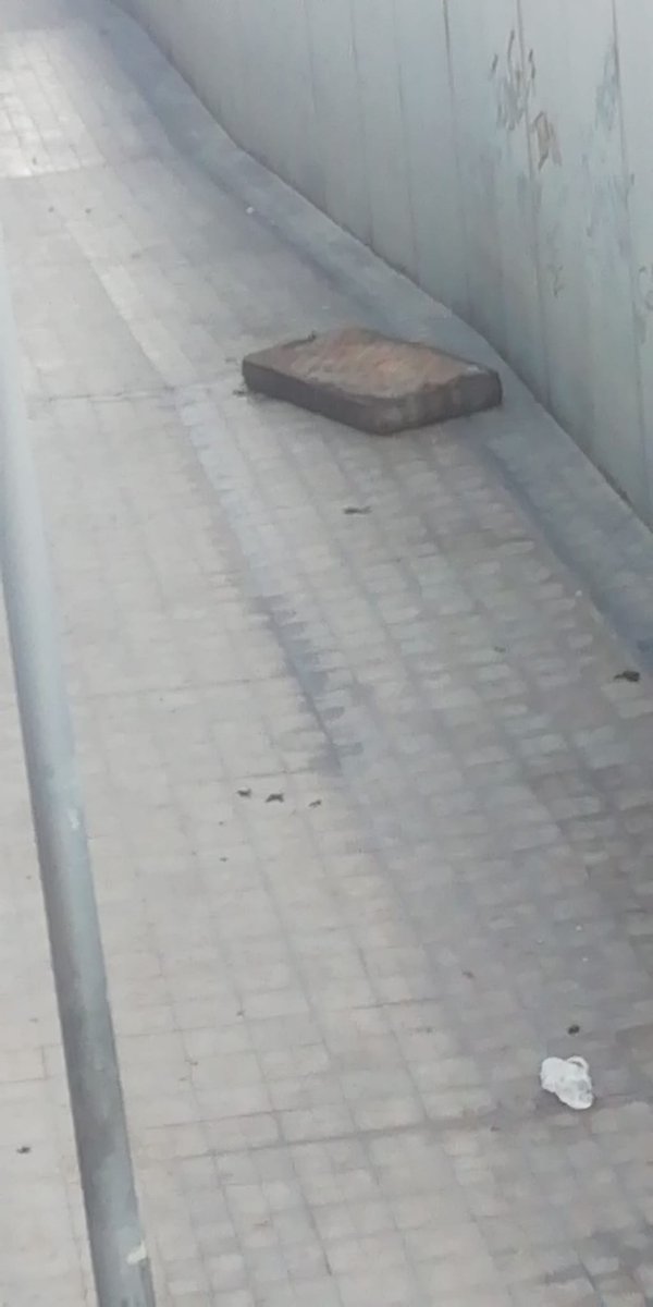 Jesus Melian tweet media