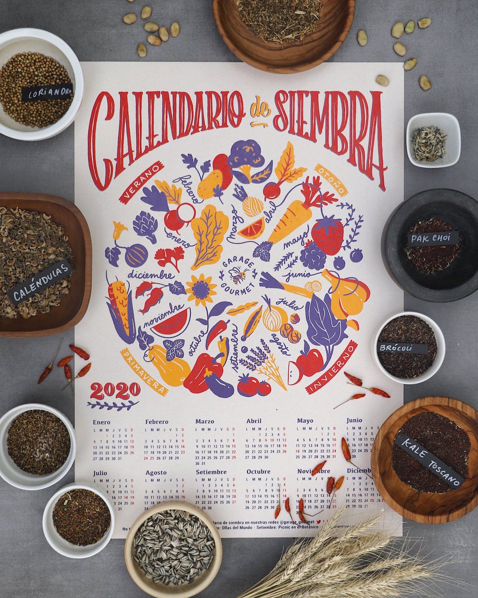 Con semillas de nuestro propio huerto sale el #CalendarioDeSiembra. Además tendremos #IntercambioDeSemillas como en todas las ediciones anteriores. 🥬 Lo podrán encontrar en el #PicnicEnEoBotánico edición BAZAR 7 y 8 de diciembre desde las 12 en el Jardín Botánico. ✊🏻 ¡PLANTEN!