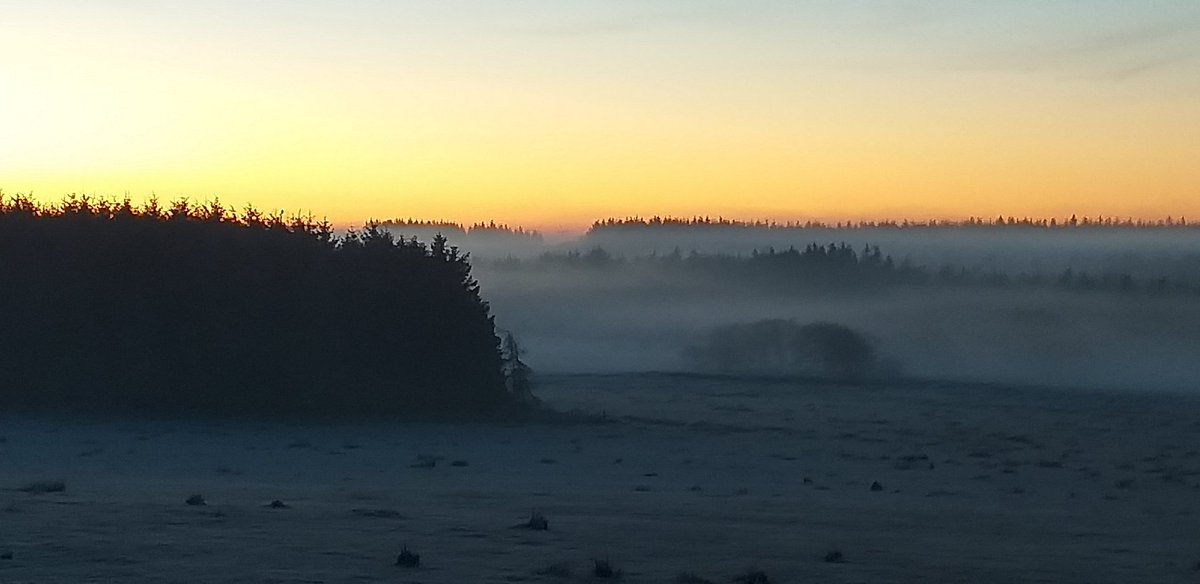 MrsXXV25's tweet photo. A frosty & misty sunrise over North Lanarkshire just now. Isn't it beautiful! #nofilters
#STVphotos #STVpics @STVWeather
#Scotland https://t.co/iuEwzs0yBO