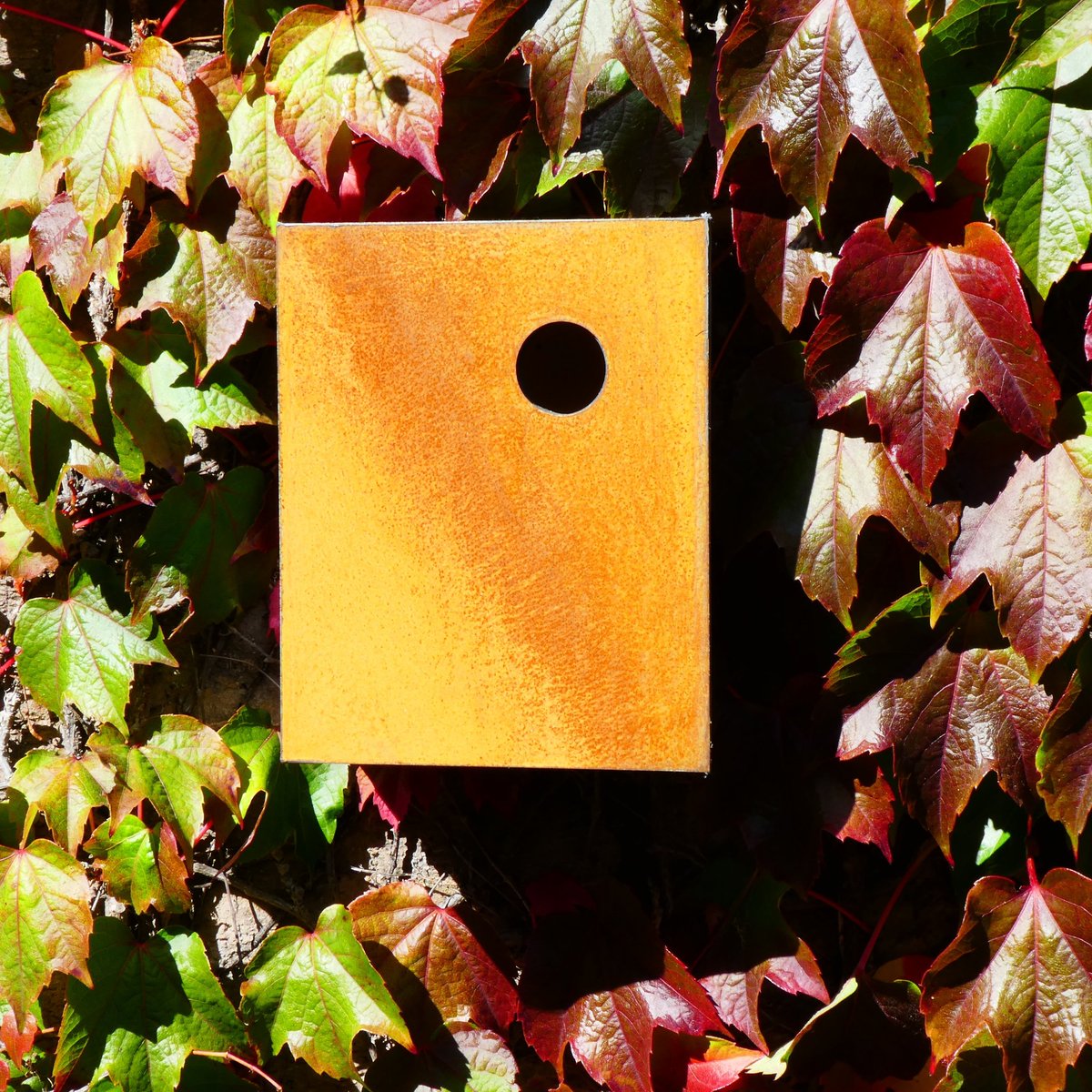 John Hollington Design tweet media