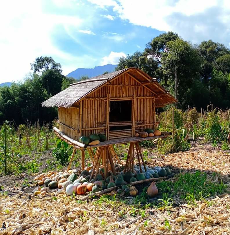 #INDIGENOUS harvest storehouse in Anini, #ArunachalPradesh  #IndigenousFaithDay #IndigenousPeoplesDay #tribalism #Tribal #tribals #Decemberwish #December1st