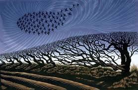 “They sicken of the calm who know the storm.”
Dorothy Parker
🍁

🎨Niki Bowers
British artist
"Storn Starlings"

#art #painting <a href="/eoff_sylvia/">Sylvia</a> <a href="/duckylemon/">Duckylemon🎈Surreal Artist</a> <a href="/mhall55nine/">Michael Hall</a> <a href="/mervalls/">Mercedes Valls Lolla</a> <a href="/batznatz/">Natz Batz</a> <a href="/marialves53/">Maria Alves 🕊️Peace🕊️</a> <a href="/ampomata/">Ángeles M. Pomata</a> <a href="/MaryBroderson/">Mary Broderson</a> <a href="/marmelyr/">Marmely R. Ramos Donís</a> <a href="/GerberArancio/">Gerbera</a> <a href="/albertopetro2/">Alberto Petroccione</a> <a href="/peac4love/">Ceni</a>
