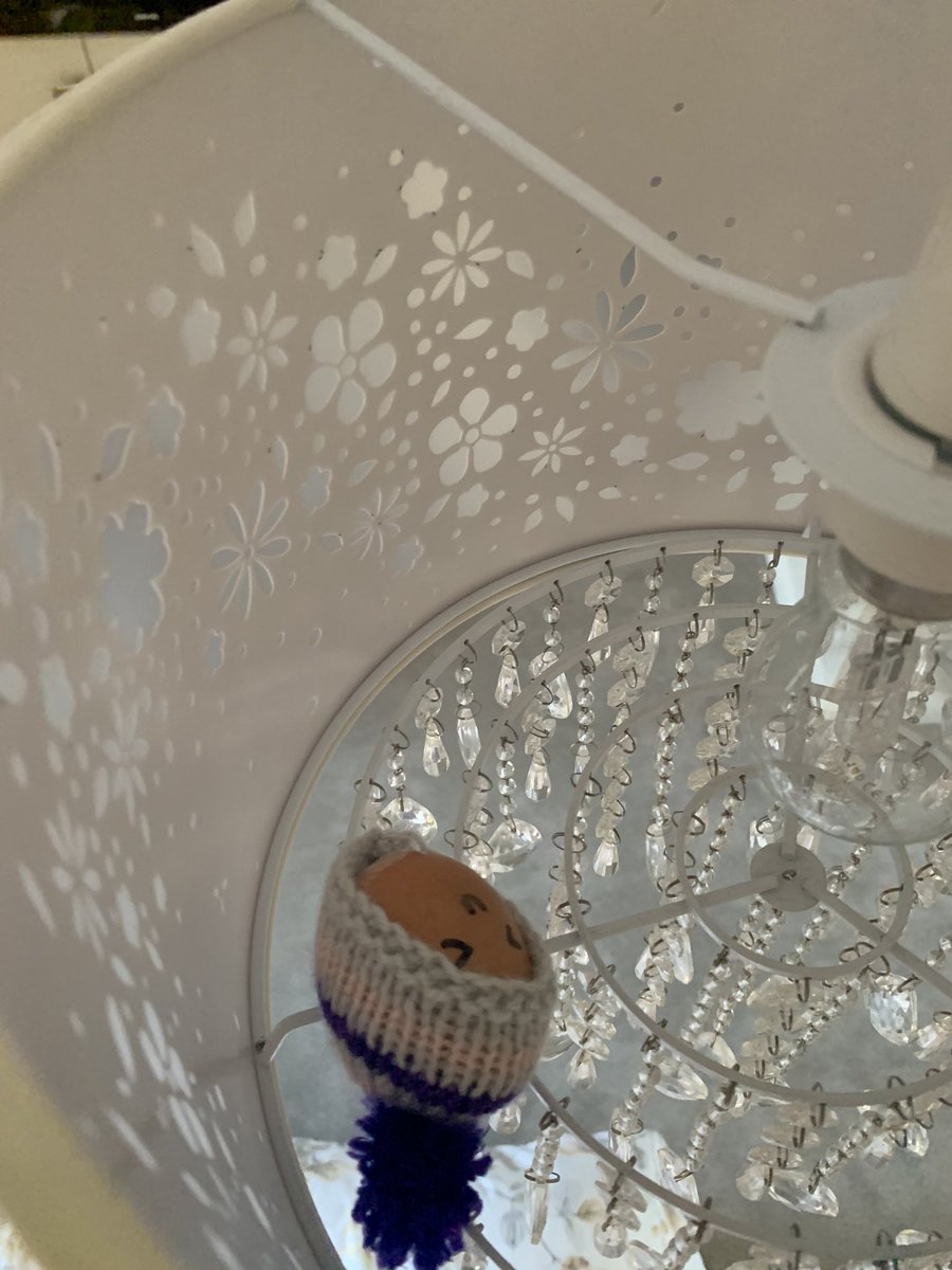 AngelGa54574792's tweet photo. Gabriel wasn’t in his bed this morning! Turns out he was playing hide and seek #cheekyegg https://t.co/ifYORC3I15
