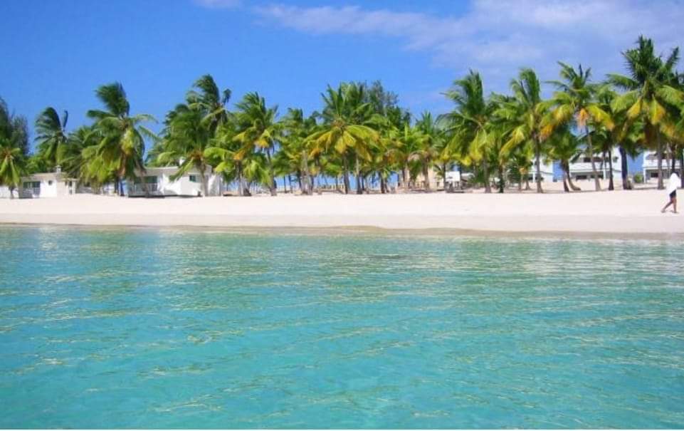 OrgulhoMoz's tweet photo. CONHEÇA | Moçambique: Praia do Wimbe, Pembe, Cabo Delgado
Está é a Praia do Wimbe, um dos melhores destinos turísticos da África. (Imagens/Google)
Orgulho Moz É Maning Nice👍
Exaltemos À Pátria🇲🇿
#OrgulhoMoz #PraiaDoWimbe #Pemba https://t.co/BA5Kq3NmfG