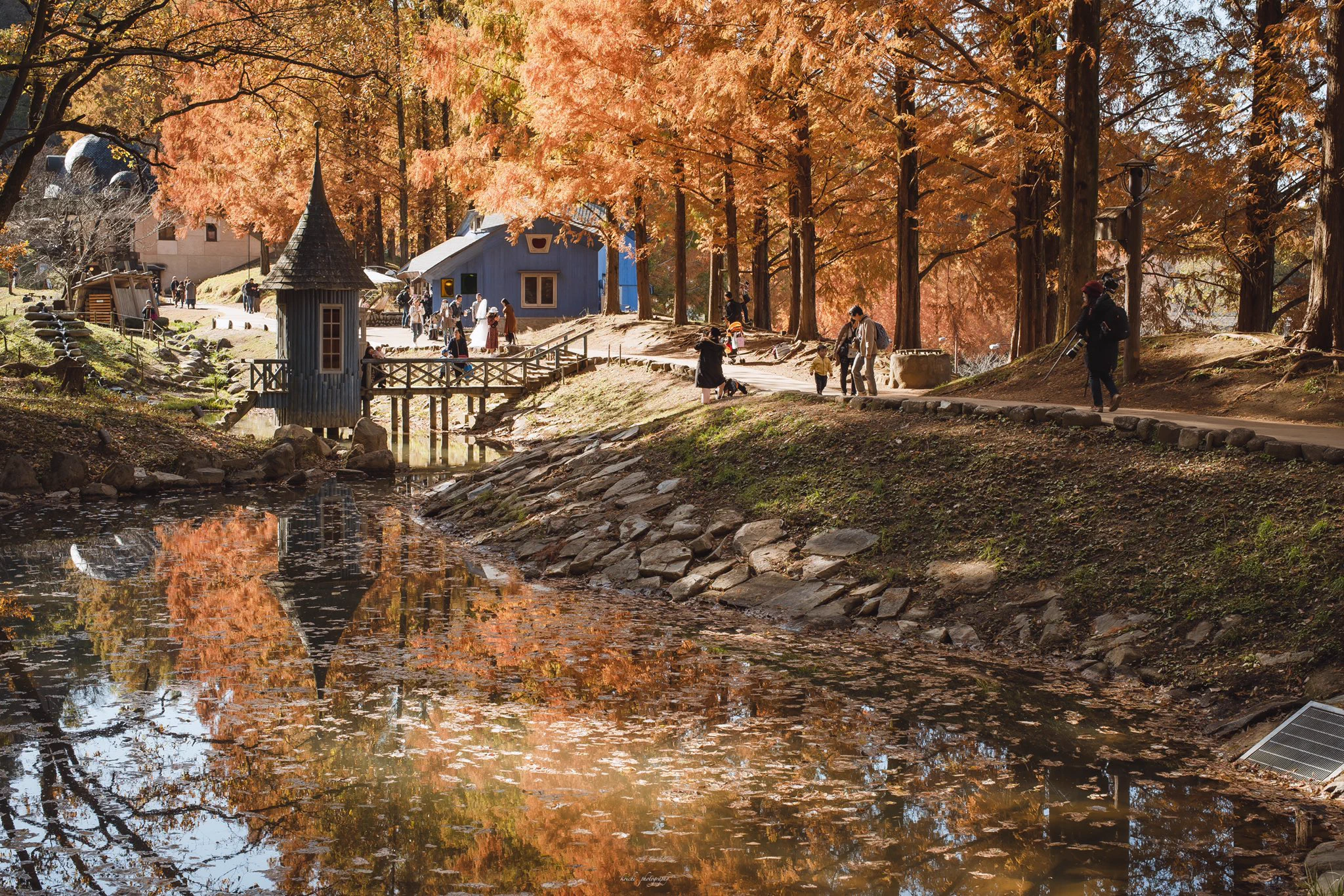 季節を感じれる！「ムーミン谷」の紅葉が凄い！