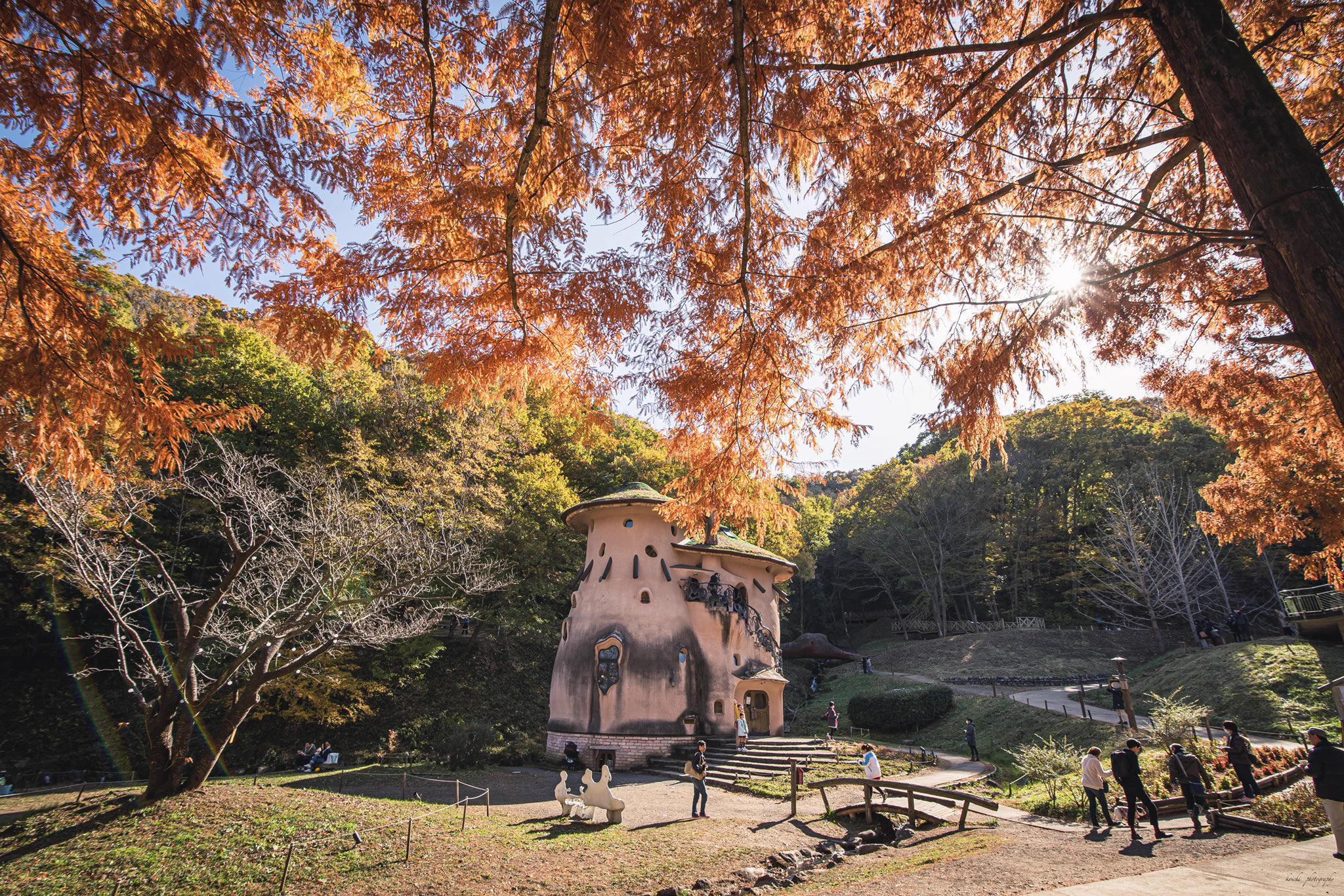 季節を感じれる！「ムーミン谷」の紅葉が凄い！