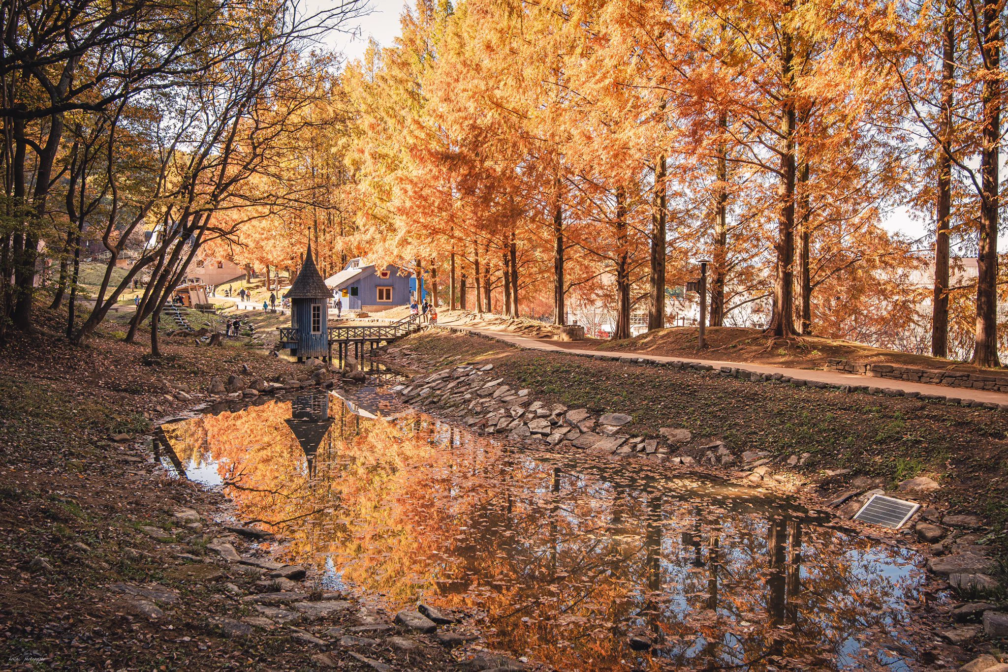 季節を感じれる！「ムーミン谷」の紅葉が凄い！