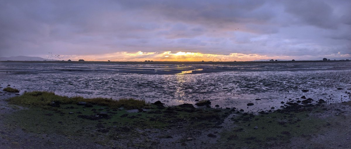 mikier's tweet photo. Early morning run #clontarf #tiscold https://t.co/XCPu4kWjRa