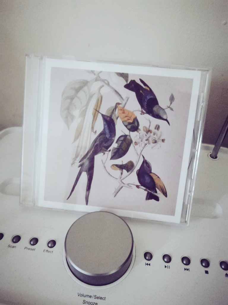 Denise_Tench's tweet image. Today&apos;s #codingsoundtrack is the beautiful &apos;Sakura&apos; by Susumu Yokota. #codinglife #codenewbie #Manchester #manchestertech
