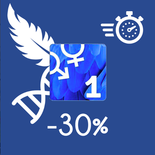 Sexado de Aves EN on Twitter: "Weekend full of discounts! 😎 1 Express