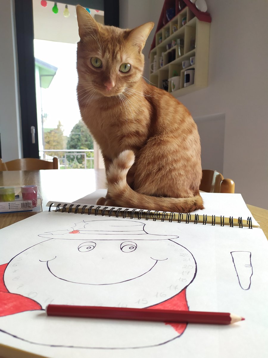 Neellenia's tweet photo. Dopo attenta sorveglianza, dubbia partecipazione e le dovute pause, il calendario dell'avvento è pronto! 25 days 'til Christmas #1Dicembre #1diciembre #1Dic #Christmas #calendariodeadviento #CatsOfTwitter #cats #creativityday2019 #BuonaDomenica #snowman #SnowmanSpectacular https://t.co/X7gLUrRZQM