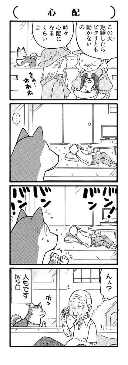 こちらも過去作品ですが犬漫画もあります。飼い主を愛するわんこ達のわちゃわちゃご近所4コマです。?『仔(こ)ブルのワルツ』(イースト・プレス)
 