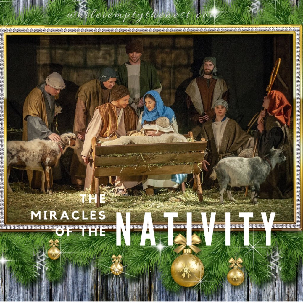whileiemptythe1's tweet photo. The Miracles of the NATIVITY https://t.co/bLgAiPPQp7 https://t.co/VrP9GFuSM4