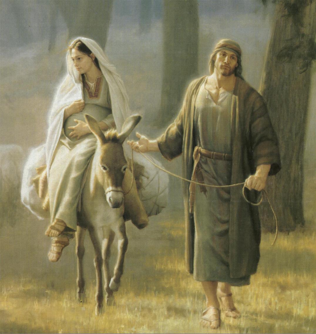 FrankDiscipulo's tweet photo. Feliz I Domingo de Adviento, hoy te invito a ir juntos a Belen al encuentro de Jesús
<°{{<Amigo>}}°> https://t.co/K0SpQAB0n2