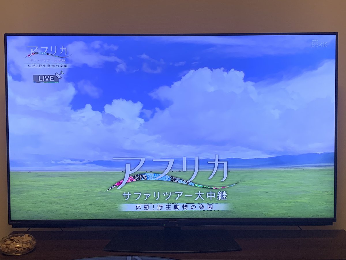 ンゴロンゴロ Hotワード