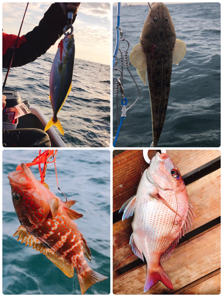 Riel 本日 走水港は斉田ボートさんからタイラバ Amp スミイカ 個人釣果はイナダ1 マゴチ1 キジハタ1 真鯛1 海老餌持参で挑んだスミイカテンヤは2度のアタリをのせれず完敗 9 1の先調子ロッドは地質も分かりやすいし感度が高くて好き カワハギもとことん