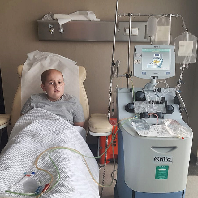 Design Collective Berkshire tweet media