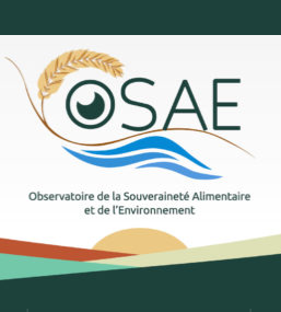 justamh's tweet image. Interested in #foodsystemchange and regions? Check out the fantastic work of @OSAE_MARSAD. The website is brimming with excellent resources on agriculture and #foodsovereignty in Tunisia. osae-marsad.org #foodsecurity #change