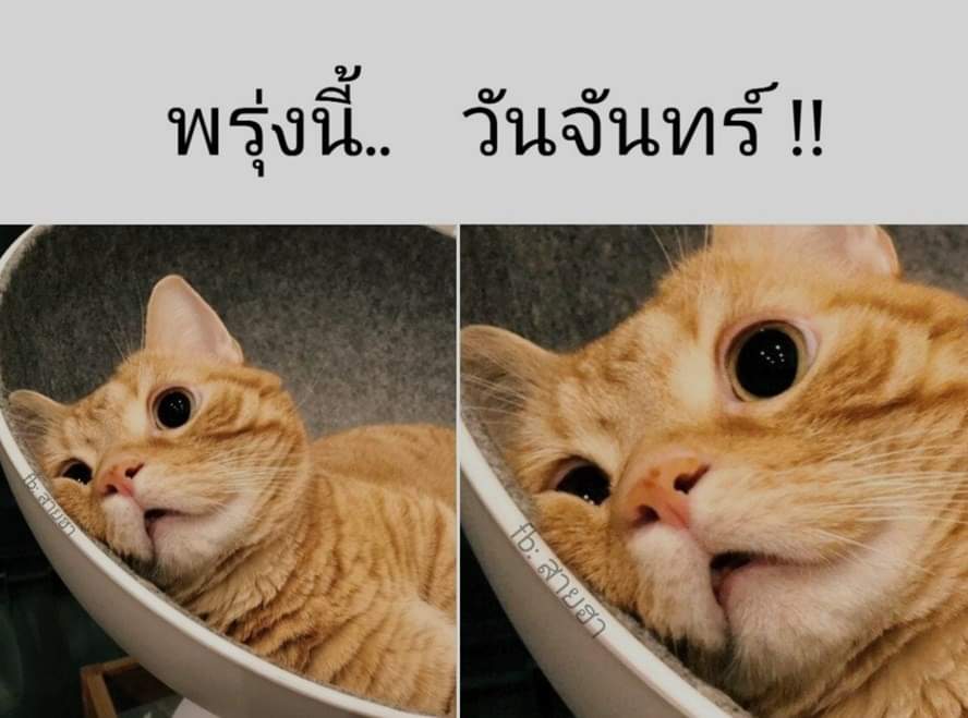 Janemimili's tweet photo. ม่ายยยยยยยยยยยยยนะ😬 https://t.co/RpT35Oo5qa