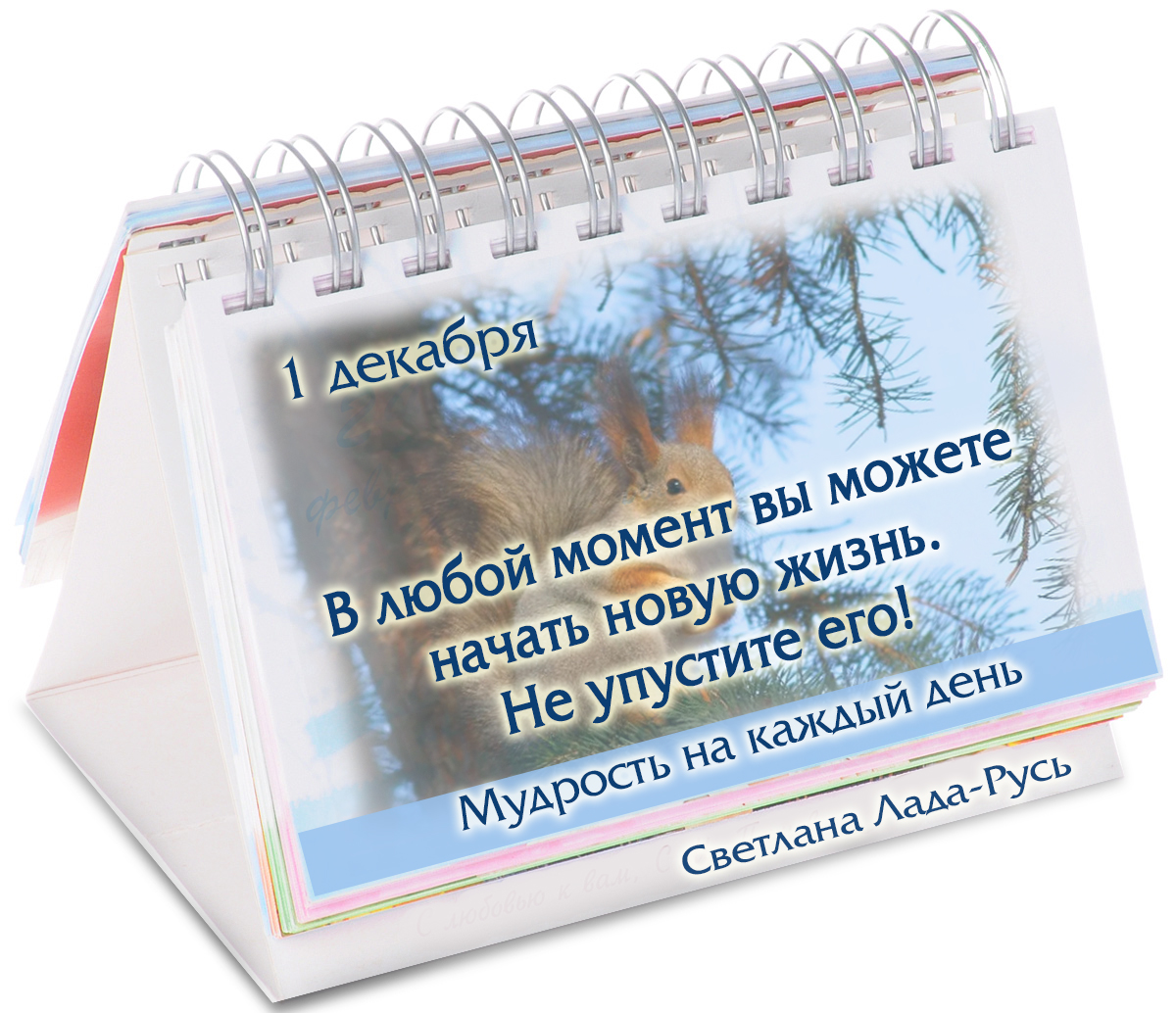 Всех с началом зимы!
#1декабря #деньзимы #зима #мудрость