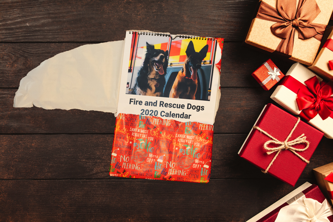 On the first day of Christmas my true love gave to me.... 
Only £10, all profits going to <a href="/firefighters999/">Fire Fighters Charity</a>. 
To purchase email Sheila: calendar@fspgeastmids.co.uk