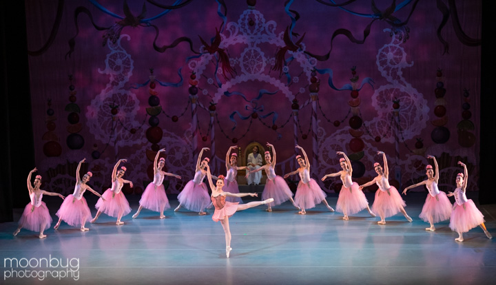 Indianapolis Ballet in The Nutcracker! One more performance this afternoon. It has been an amazing weekend of gorgeous performances.