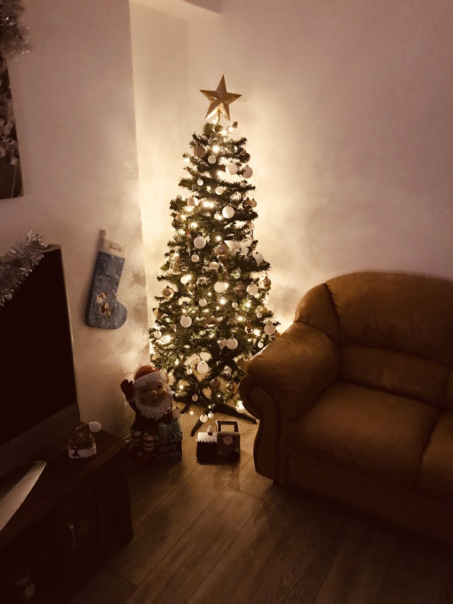 mrlizardkingz's tweet photo. It’s officially Christmas time... #Christmas2019 #Tree #2Trees #ChristmasIsComing https://t.co/XHT6xFO2Ov