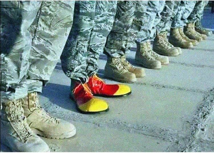 Гончарук поздравил украинцев с 28-й годовщиной референдума за независимость - Цензор.НЕТ 9863