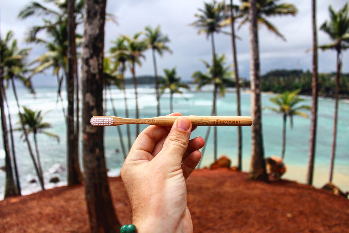 FINALLY  brushes are back in stock - plus a few new things! 🙌

First up: our new FIRM BRISTLES! Half of you love our medium bristles and half have asked for a firmer option. Well, we listened, and now you can choose!

See More >> bamwoo-bamboo.com/collections/ba… #onebrushonetree #BAMWOO