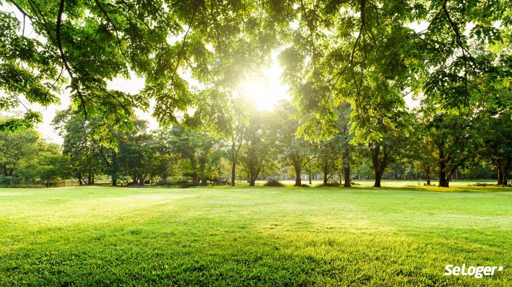 SeLoger's tweet image. ✝️#Réglementation: Est-il possible de se faire #enterrer dans son #jardin❓
➕d'info👉bit.ly/Sepulture