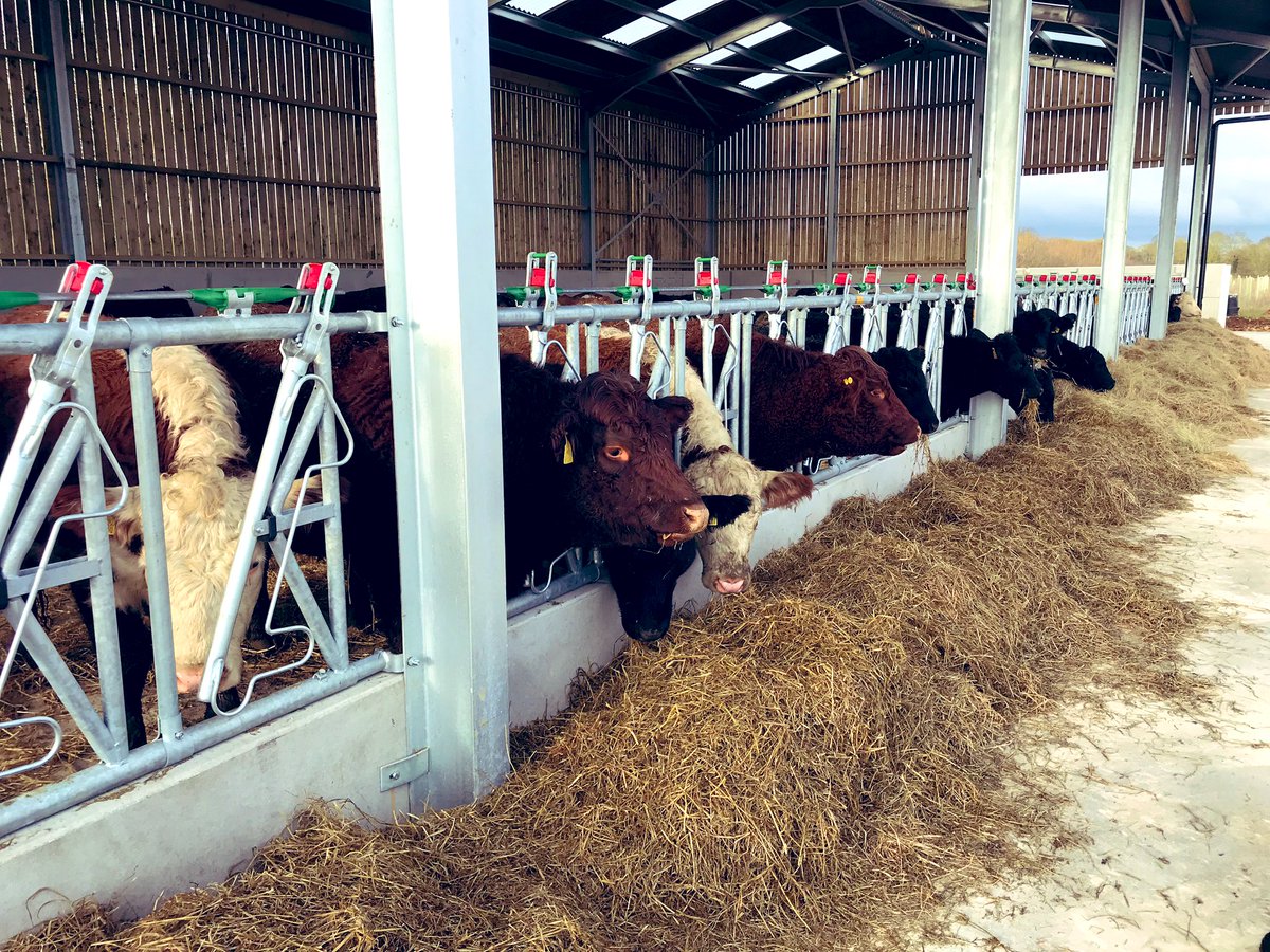 Samuel Clarke tweet media