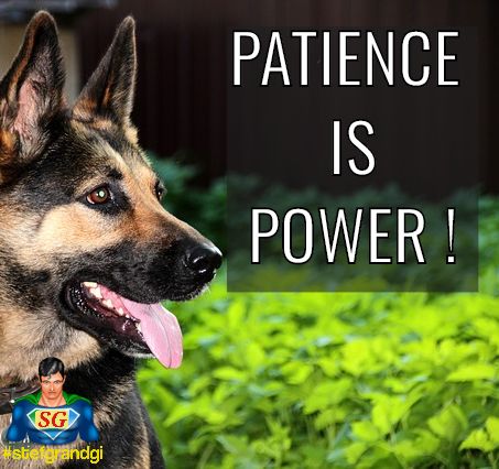 Everything comes at the right moment... 🎯
via @stefgrandgi
#stefgrandgi