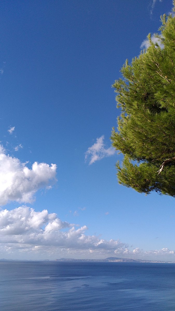 <a href="/eldierre/">Liana de Rosa</a> <a href="/danisetta/">Danisetta Rocchi</a> <a href="/destinograzia/">grazia collini</a> <a href="/GiuliaCiarapix/">Giulia Ciarapica</a> <a href="/NikitaGuardini/">Nikita Guardini</a> <a href="/DemoFranca/">demo live</a> <a href="/annaritadenardo/">Annarita De Nardo</a> <a href="/RoPecoraro/">Roberto Pecoraro</a> <a href="/santecarlo/">Carlo</a> <a href="/CasulaGiuliana/">Giuliana</a> Un abbraccio.

#BenvenutoDicembre
#1Dicembre 
#VicoEquense